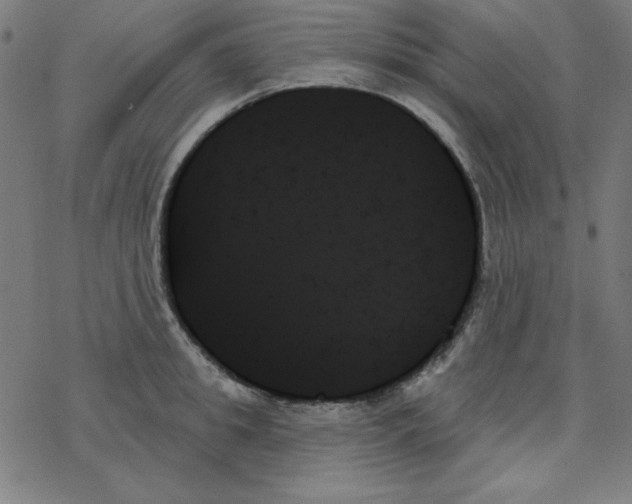 X0000078270949200612011716