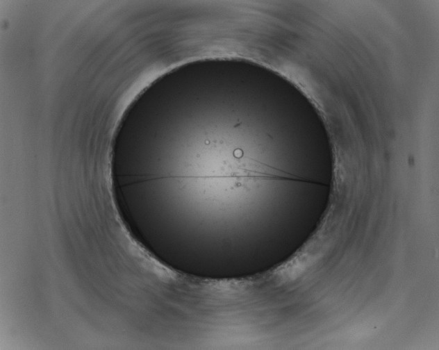 X0000078270950200612011716