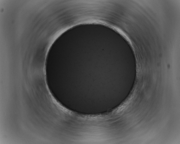 X0000078270951200612011716