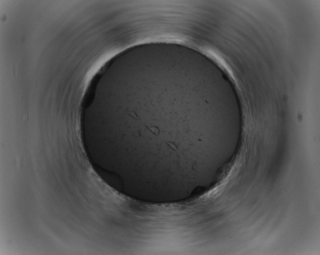 X0000078270952200612011716