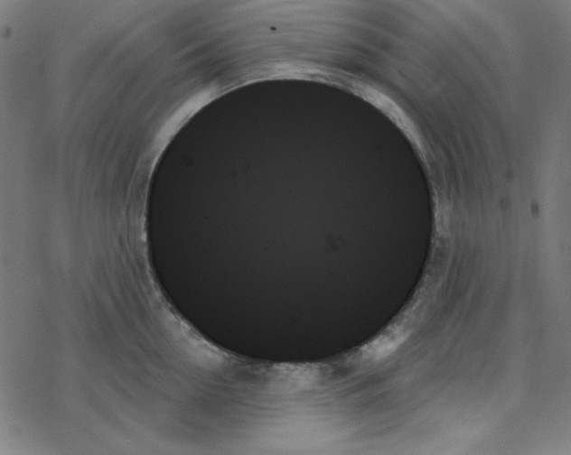 X0000078270954200612011716