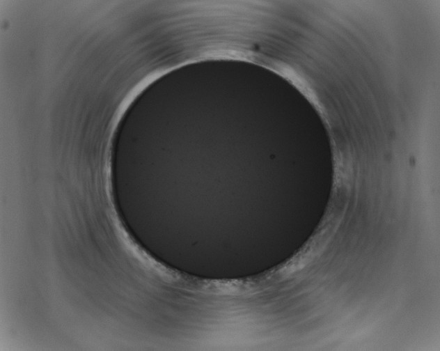 X0000078270955200612011716