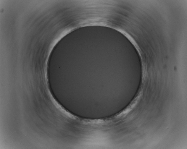 X0000078270957200612011716