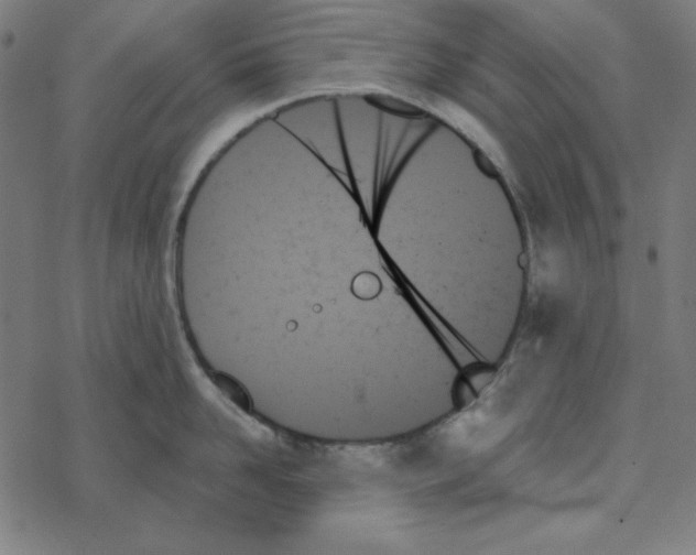 X0000078270958200612011716