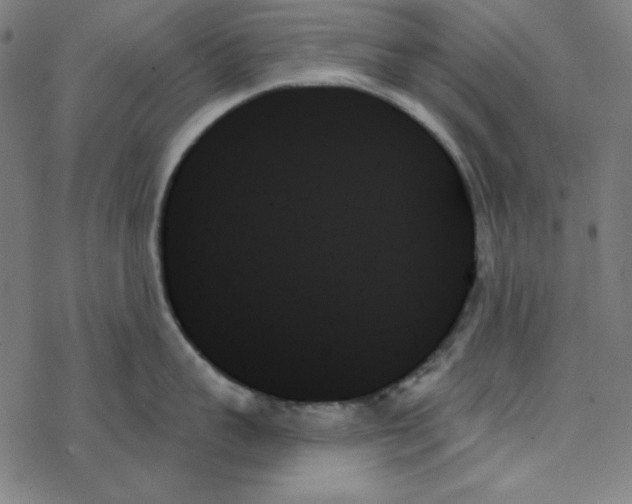 X0000078270959200612011716