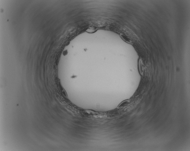 X0000078270961200612011715