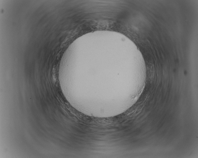 X0000078270962200612011715