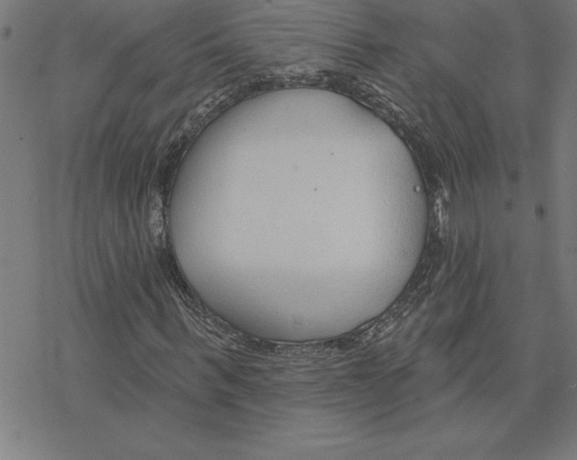 X0000078270963200612011715