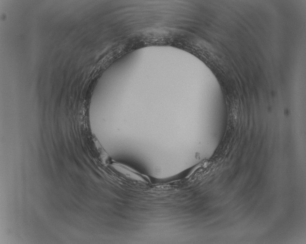 X0000078270964200612011715