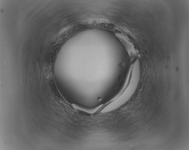 X0000078270965200612011715