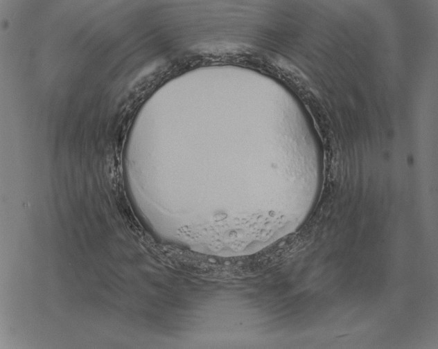 X0000078270966200612011715