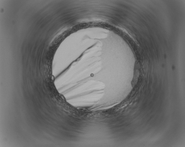 X0000078270967200612011715