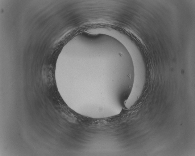 X0000078270968200612011715