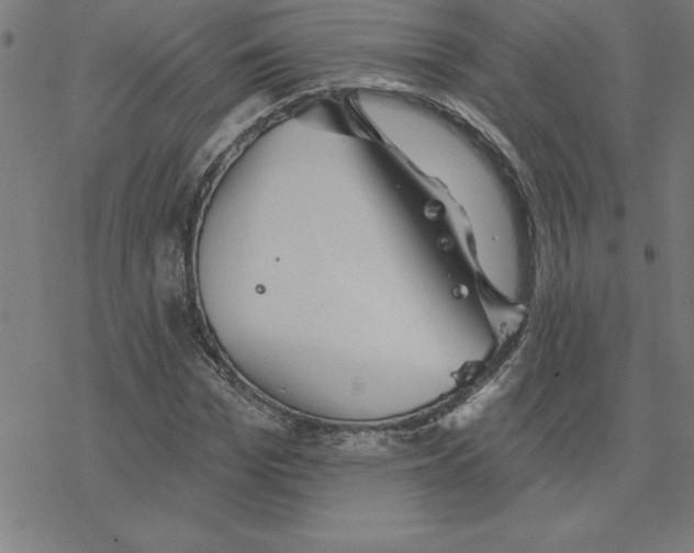 X0000078270969200612011715