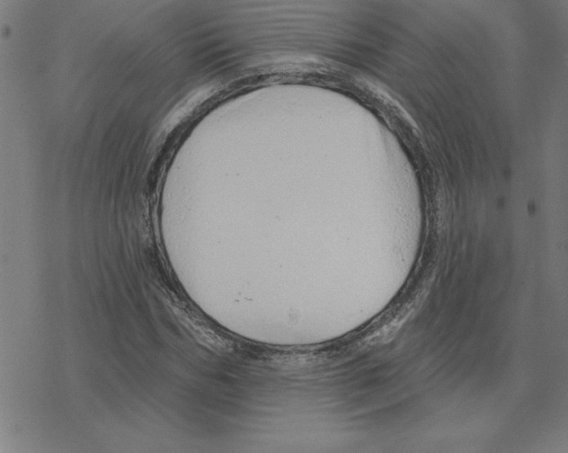 X0000078270970200612011715