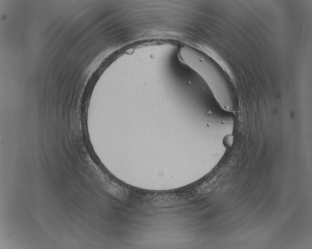 X0000078270972200612011715