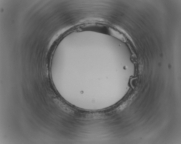 X0000078270973200612011715