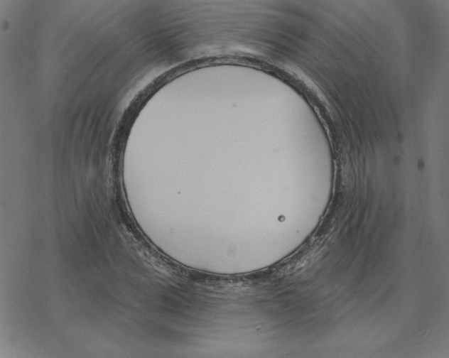 X0000078270975200612011715