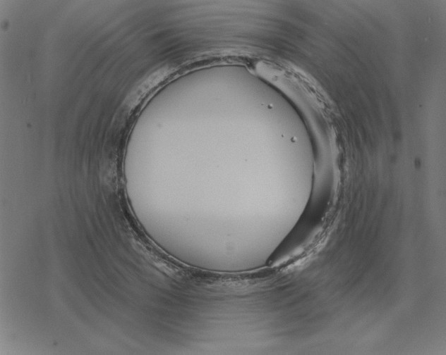 X0000078270977200612011715