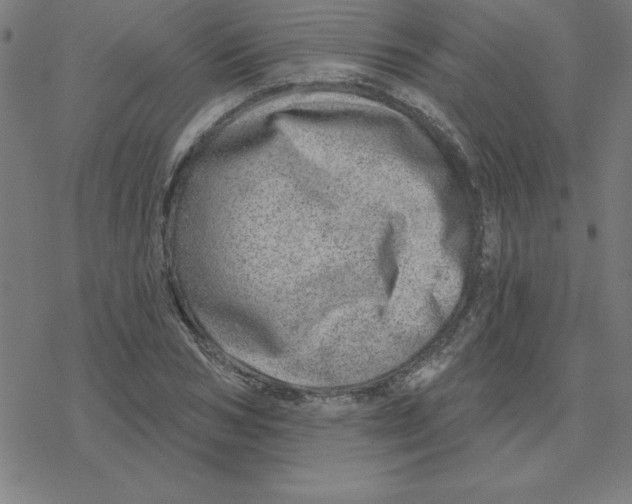 X0000078270978200612011715