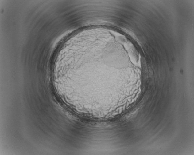 X0000078270979200612011715