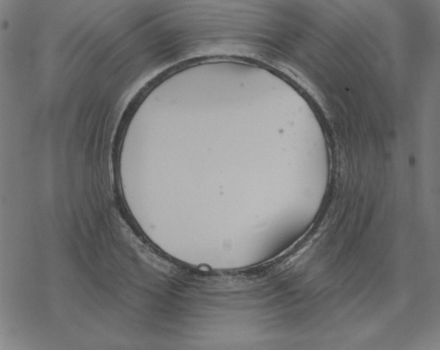 X0000078270980200612011715