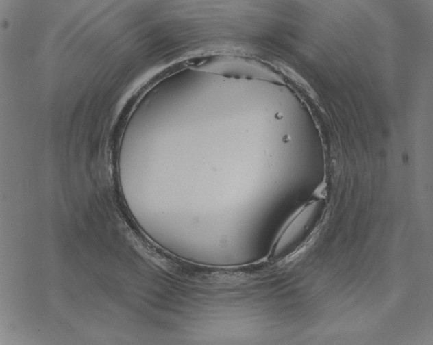 X0000078270981200612011715