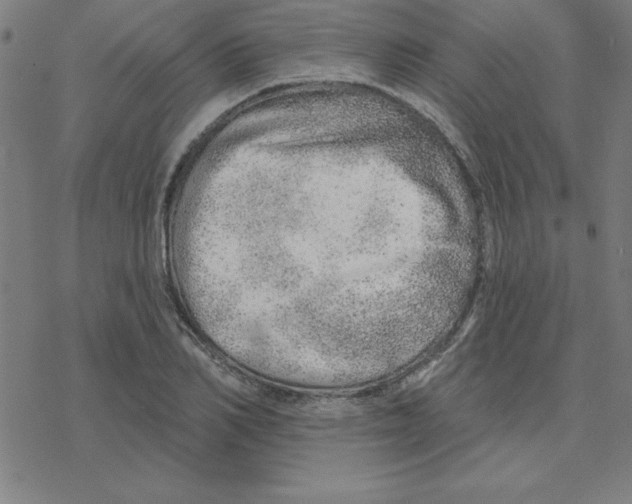 X0000078270982200612011715