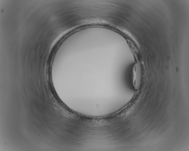 X0000078270983200612011715