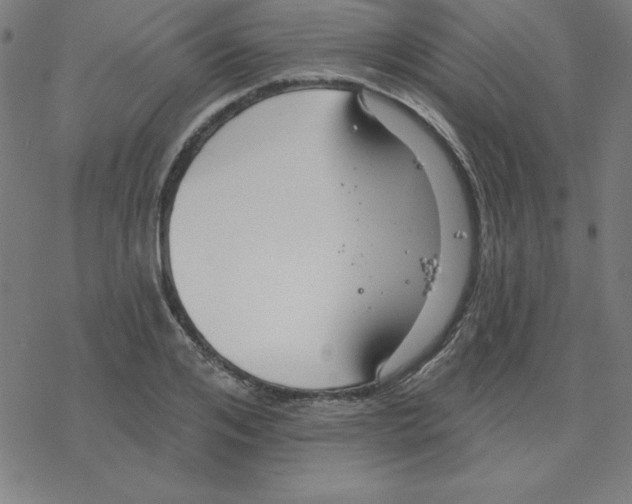 X0000078270984200612011715