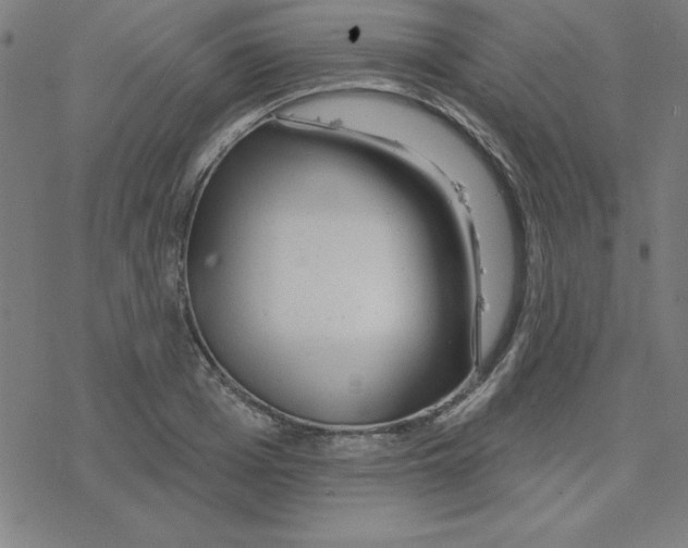 X0000078270985200612011715