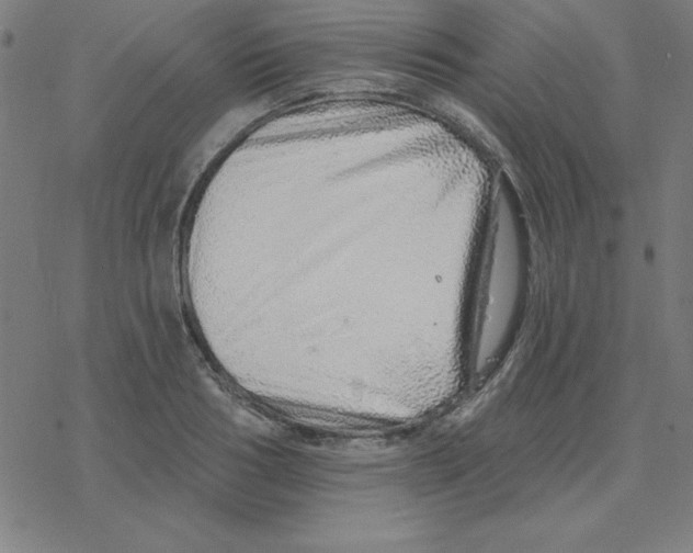 X0000078270986200612011715