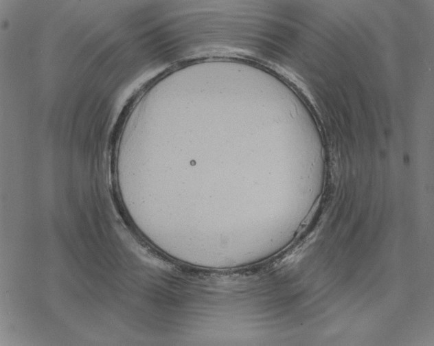 X0000078270987200612011715