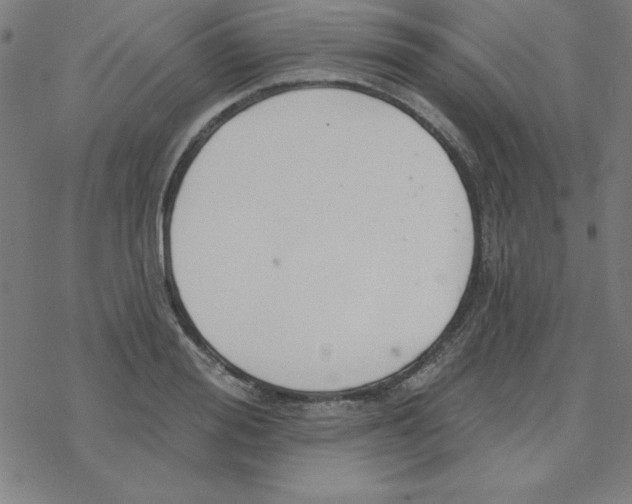 X0000078270988200612011715