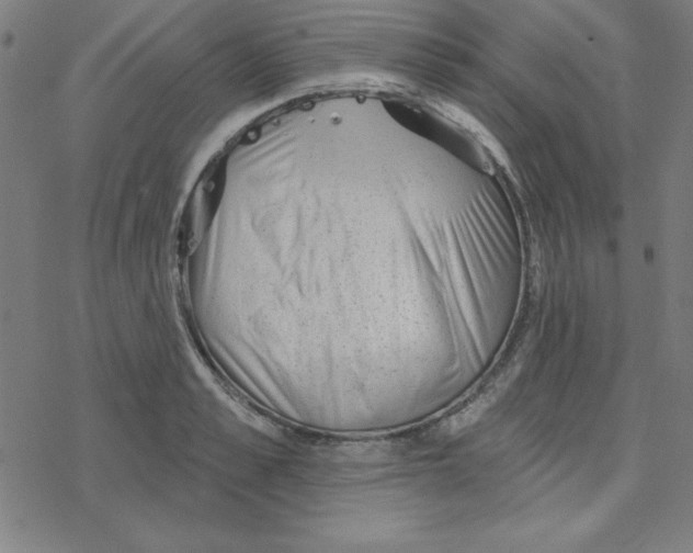 X0000078270989200612011715