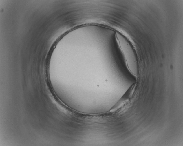 X0000078270991200612011715