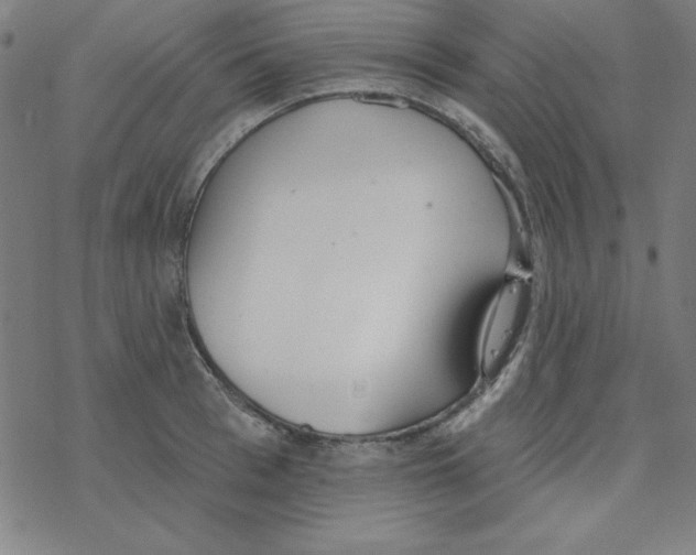 X0000078270993200612011715