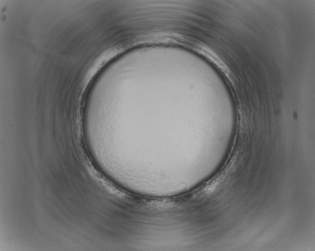 X0000078270994200612011715