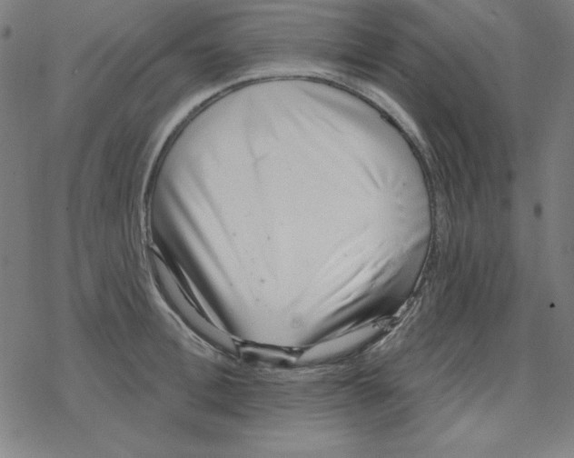 X0000078270996200612011715