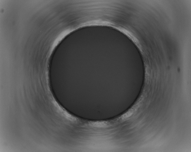 X0000078270998200612011715