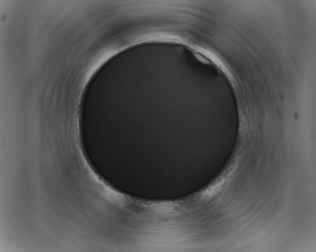 X0000078270999200612011715