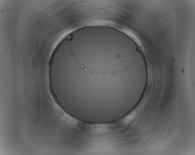 X0000078271000200612011715