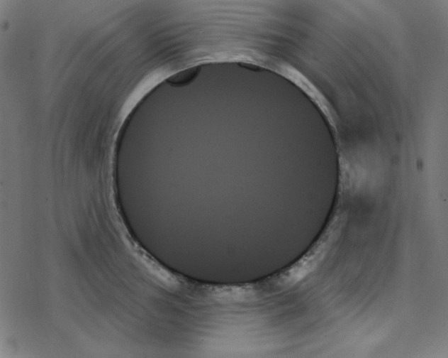 X0000078271002200612011715