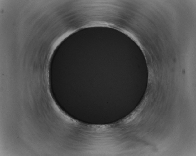 X0000078271003200612011715