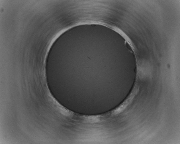 X0000078271004200612011715