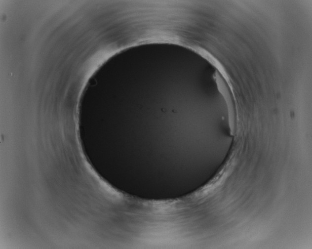 X0000078271005200612011714