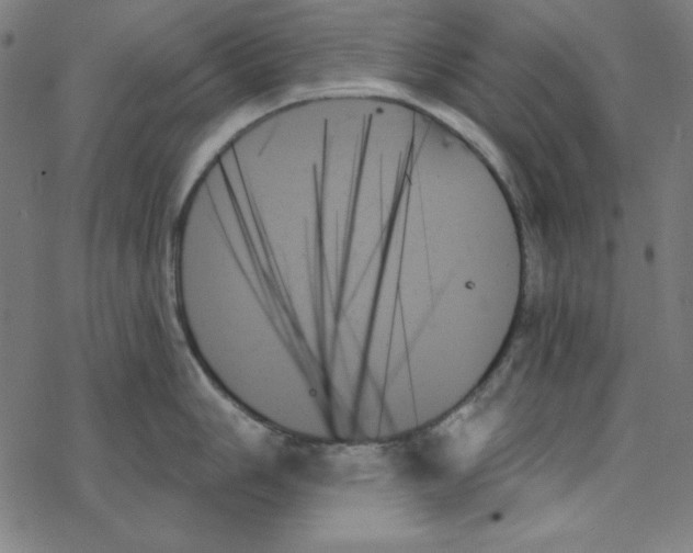 X0000078271006200612011714