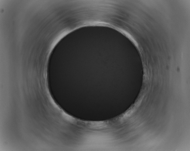 X0000078271007200612011714