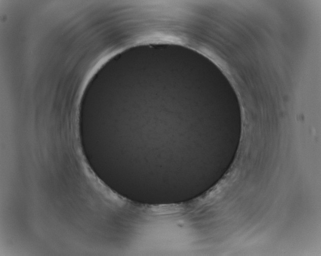 X0000078271008200612011714