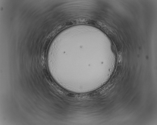 X0000078271011200612011714